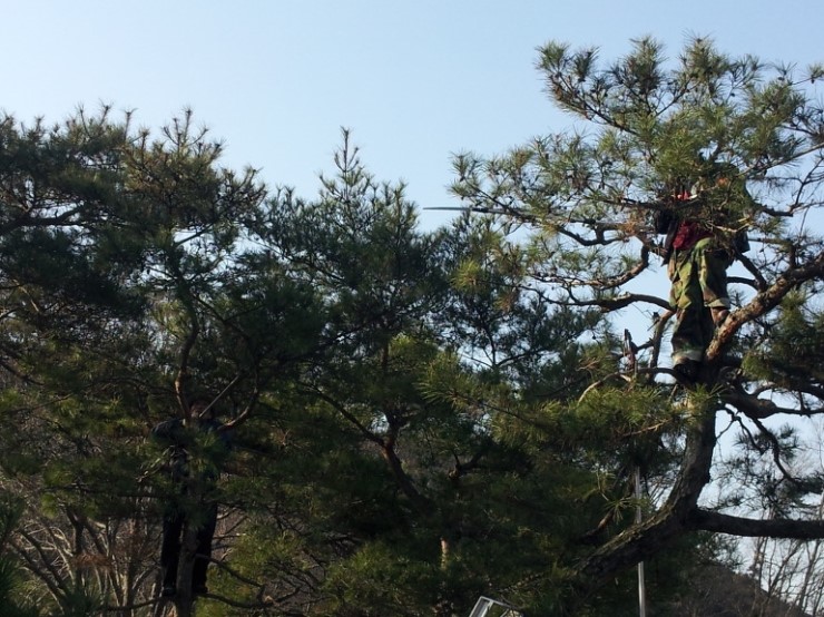 지산조경 이미지