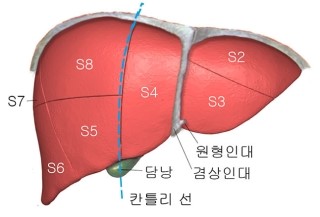 간의 기능적 해부학 : 네이버 블로그