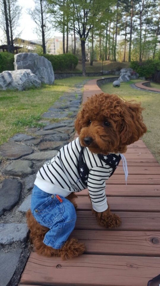 동백인테리어 이미지