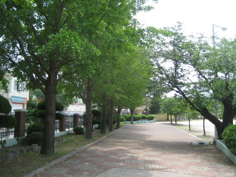 송라초등학교 이미지