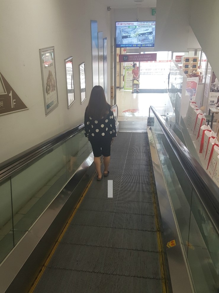 꾸디 이미지