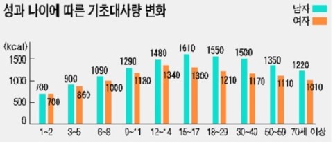 금정기초 이미지