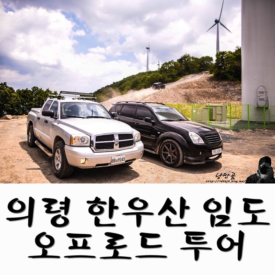다이노스카 이미지
