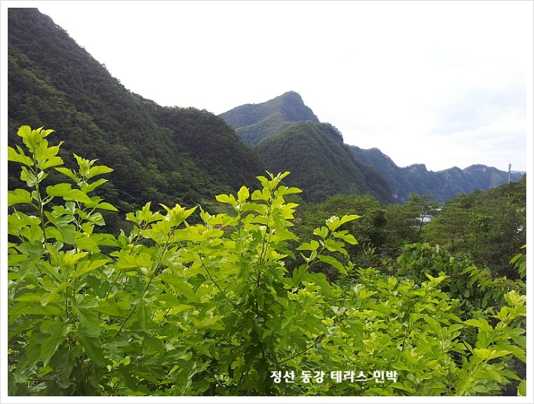 까치민박 이미지