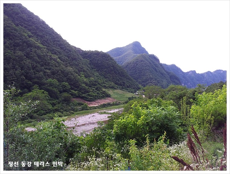 까치민박 이미지