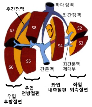간의 기능적 해부학 : 네이버 블로그