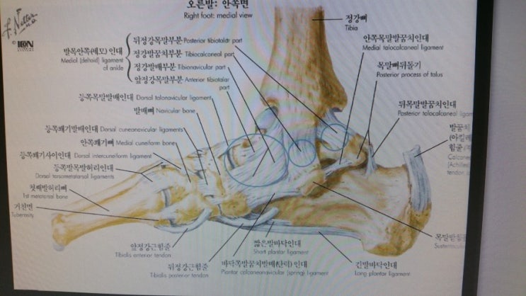 우성한의원 이미지