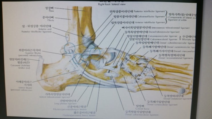 동그라미한의원 이미지
