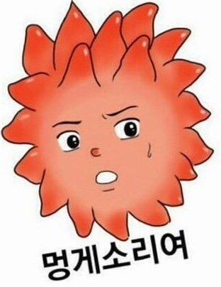 진솔한우 이미지