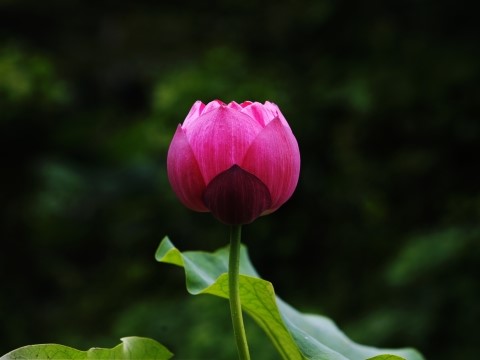 우리몸한의원 이미지