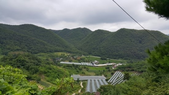 오창스포츠토토 이미지