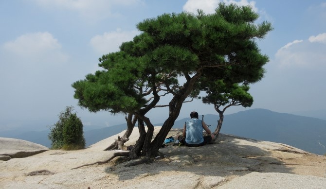그늘 이미지