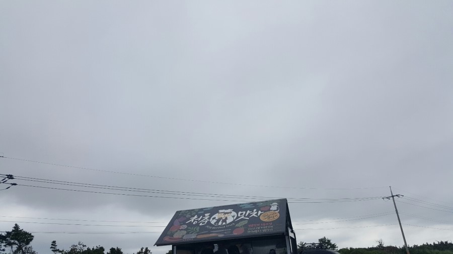 청춘맛차 이미지