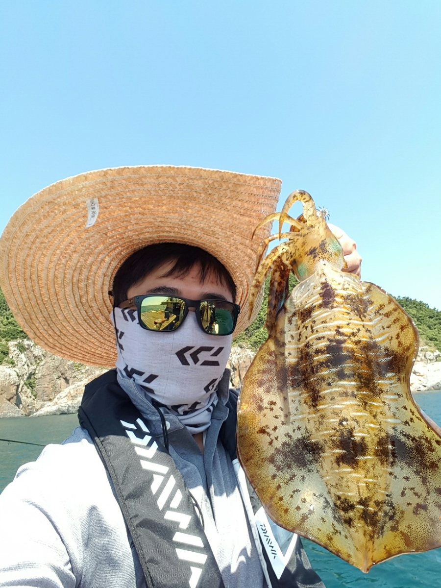 오징어사냥 이미지