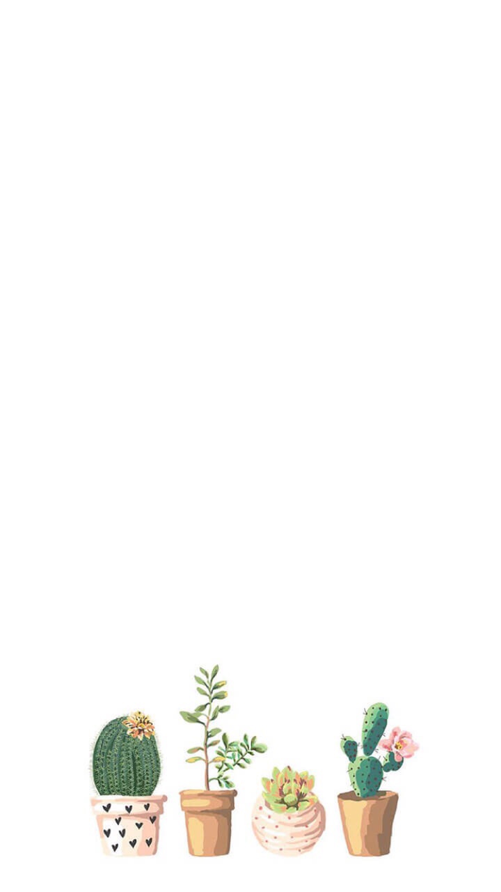 종로우동 이미지