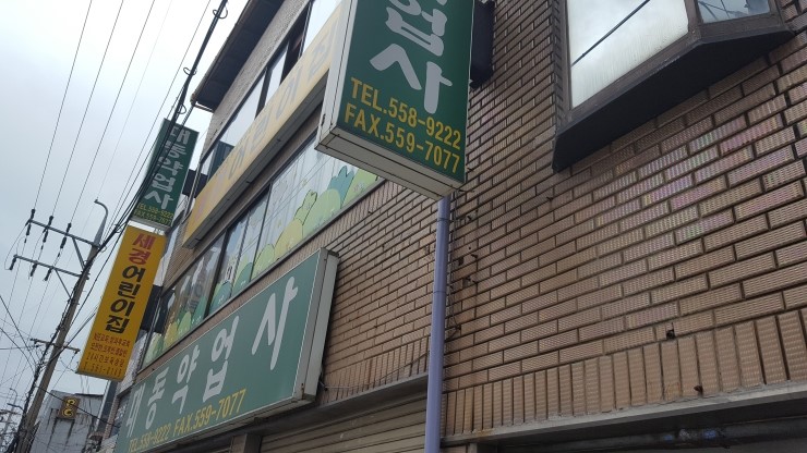 대동차유리 이미지