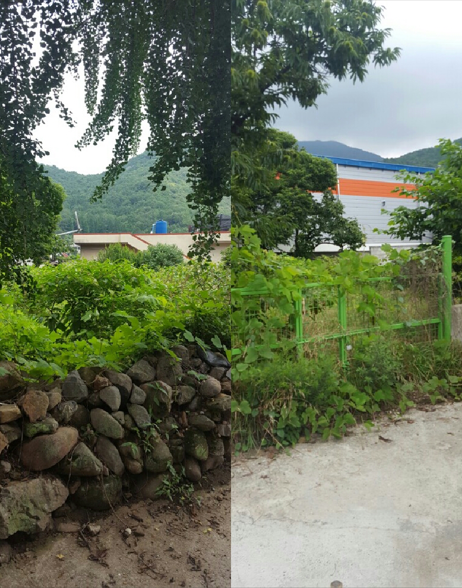 주)예닮 이미지