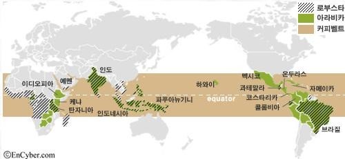 커피벨트 이미지