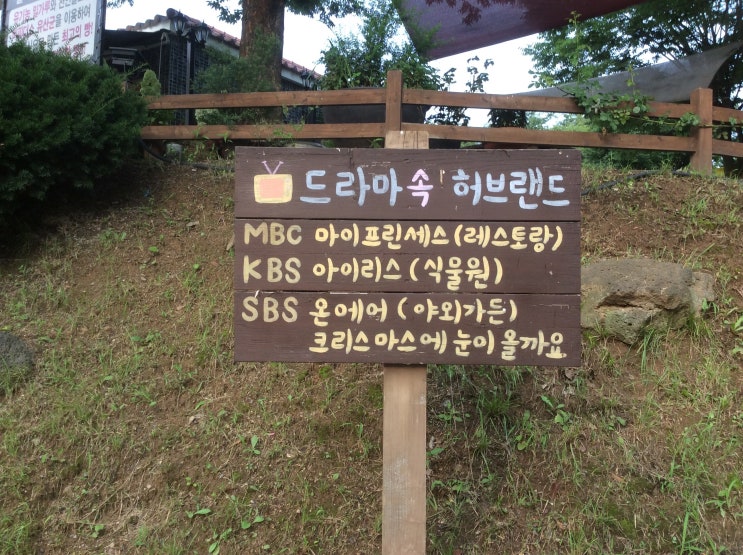 벨트야놀자 이미지