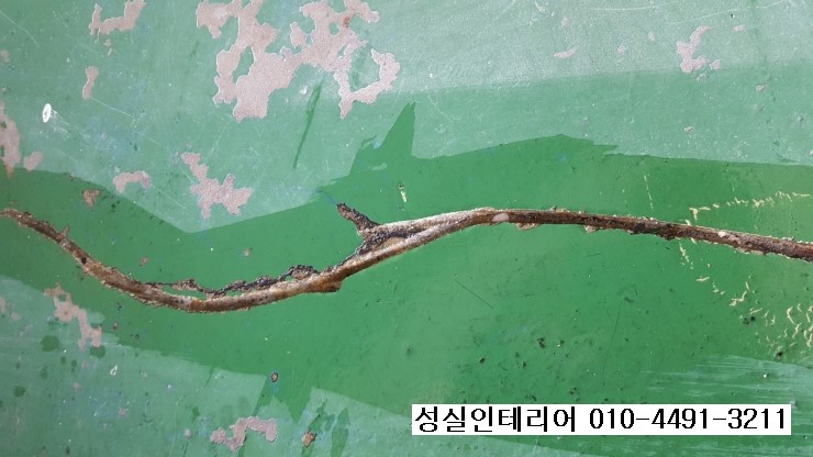 성실인테리어 이미지