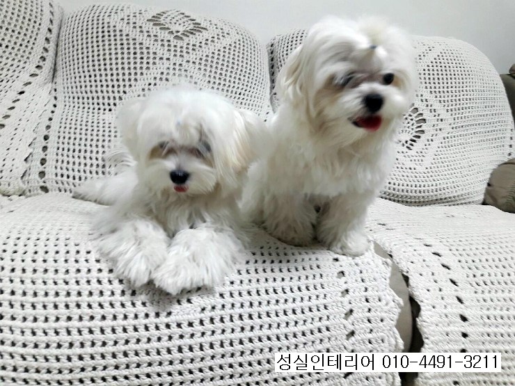 성실인테리어 이미지