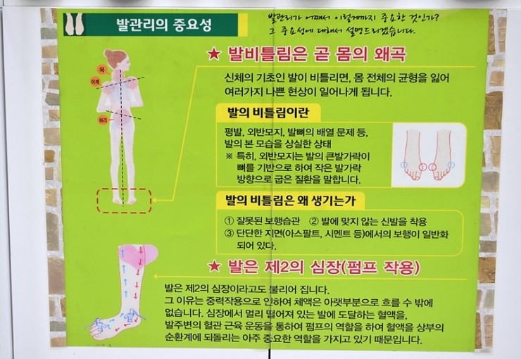 발로니아 이미지