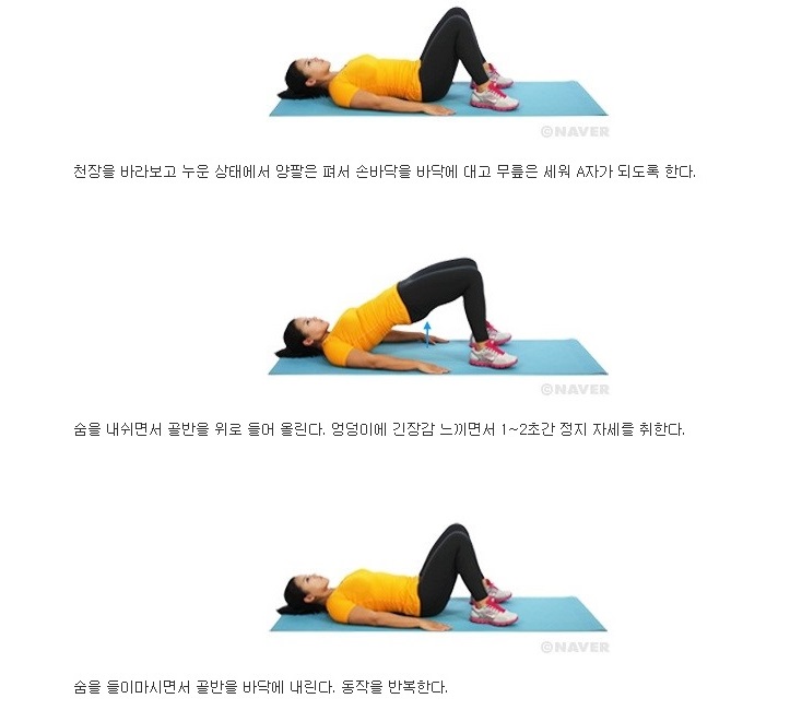 브릿지 이미지