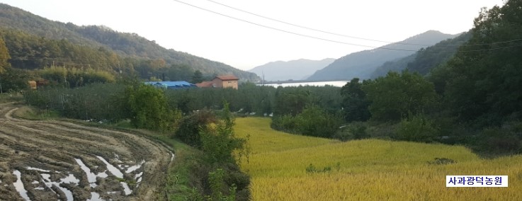 원경농원 이미지