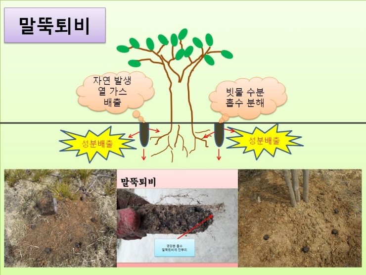 조아모바일 이미지