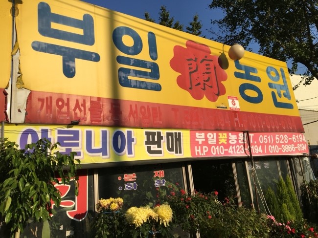 부일농원 이미지