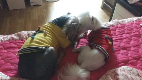 모띠앙 이미지