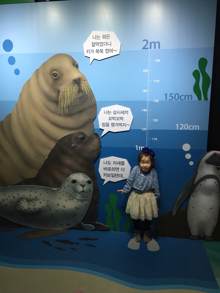 스카이팜 이미지