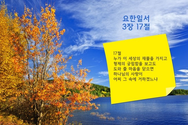 오늘의치과 이미지