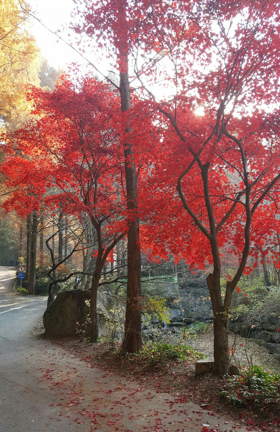 헬스-라이프 이미지