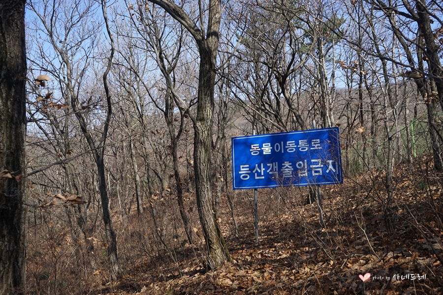 우두령민박 이미지
