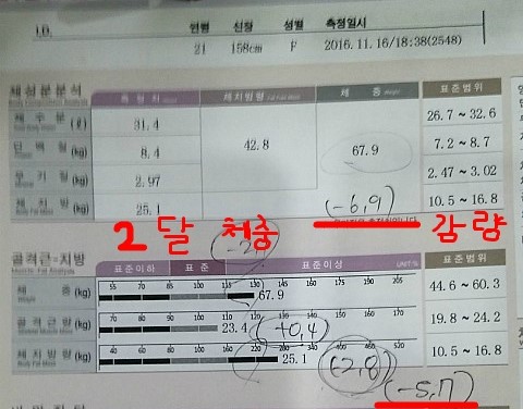 오오다이어트 이미지
