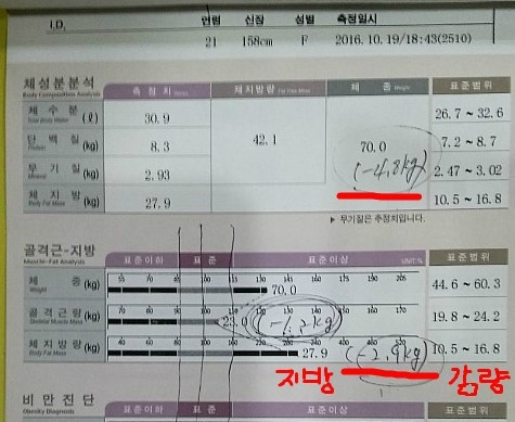 오오다이어트 이미지