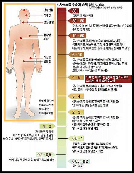 엠에스이엔지 이미지