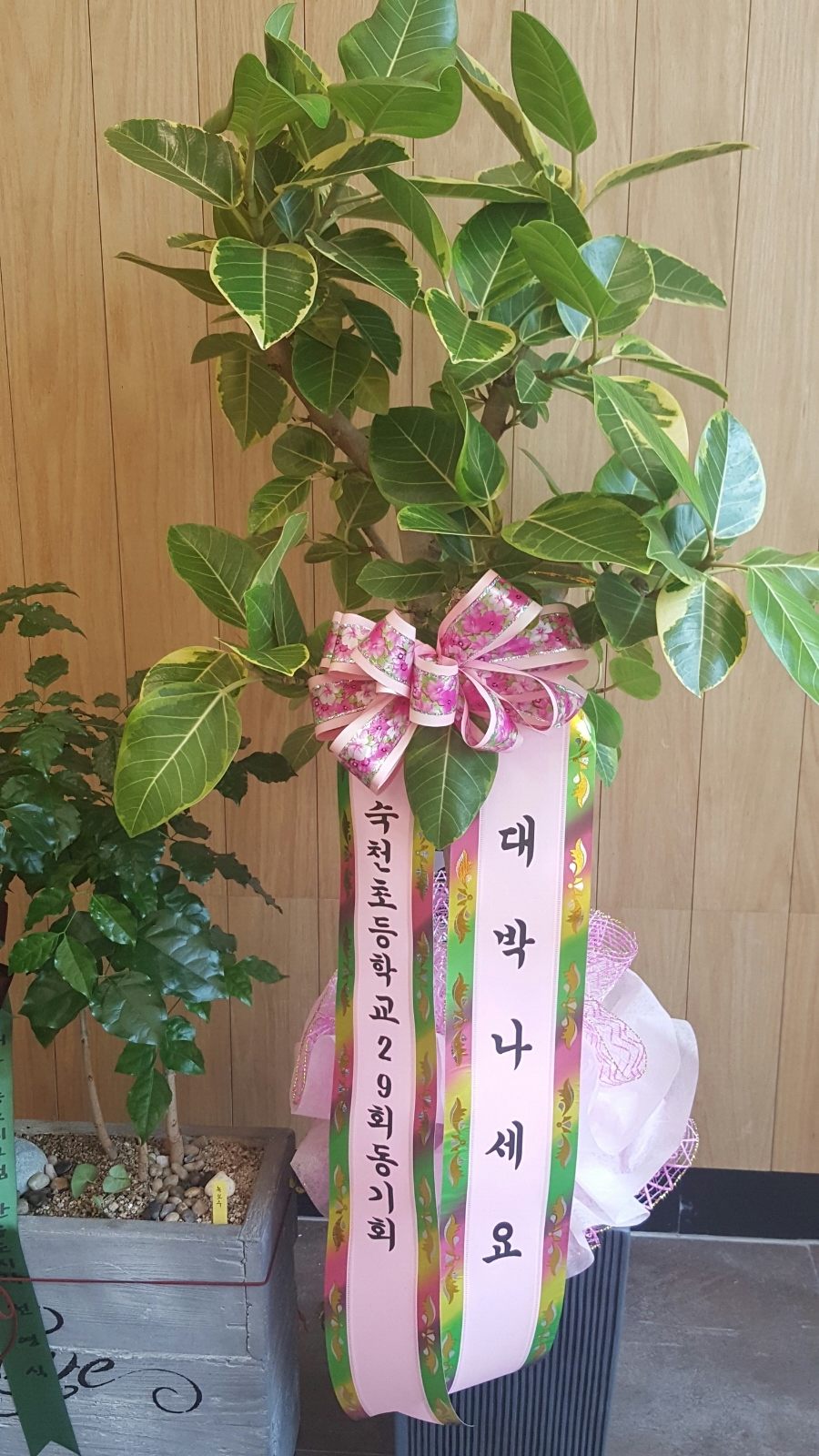 한솥도시락 대구혁신도시점 이미지