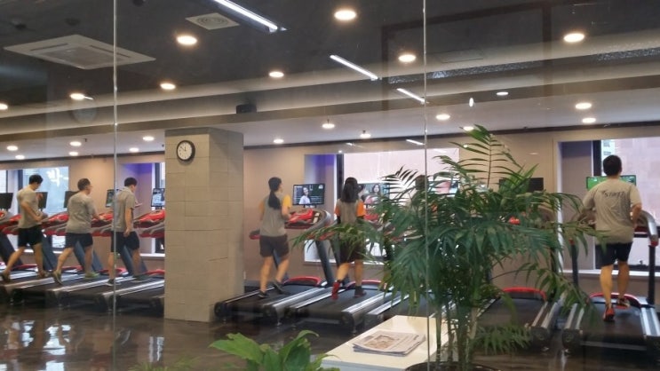 스타트원짐 이미지