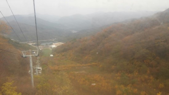 티케이트레이딩 이미지