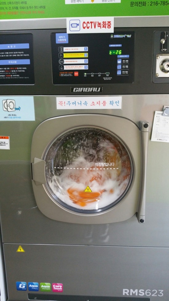 크린토피아코인워시수원영통 이미지