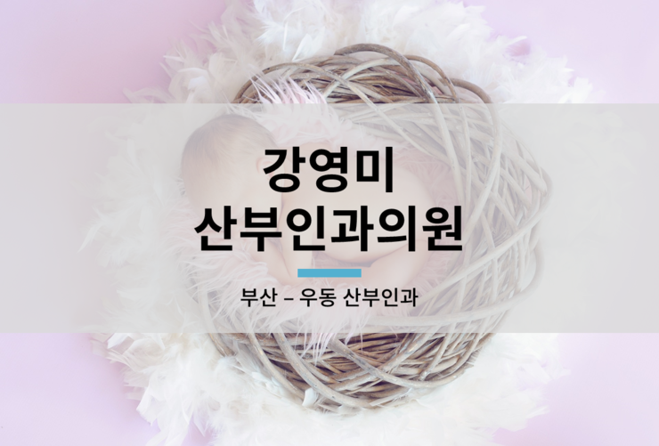 강영미산부인과 이미지