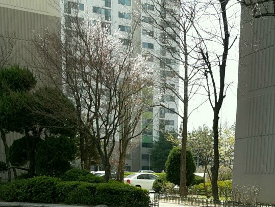 가수원인력 이미지