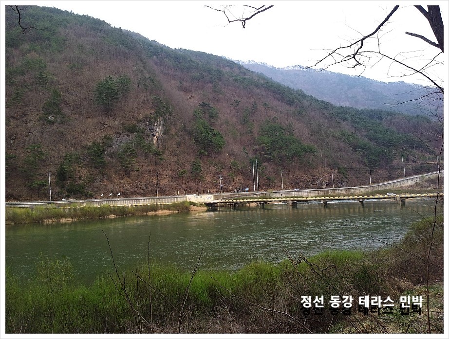 동강자연애 이미지