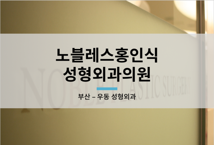 노블레스홍인식성형외과의원 이미지