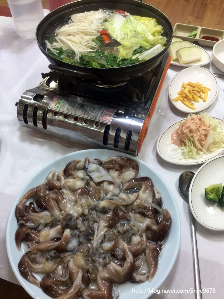 섬이보인다 이미지