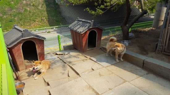 양근카센타 이미지
