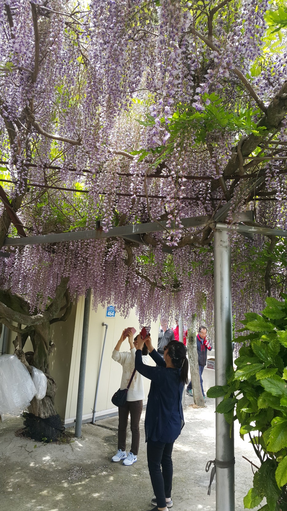 어성장어센타 이미지