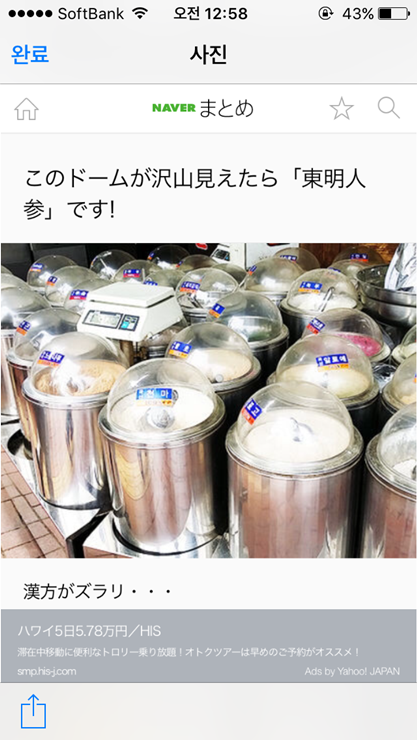 동명인삼 이미지